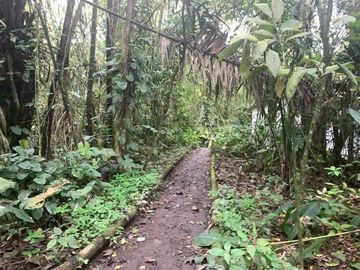 reserva natural de venta en manta bosque Pacoche