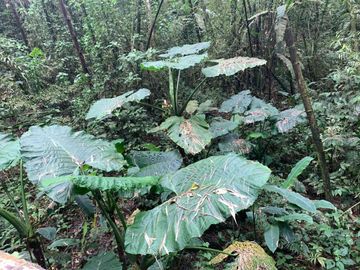 reserva natural de venta en manta bosque Pacoche