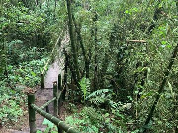 reserva natural de venta en manta bosque Pacoche