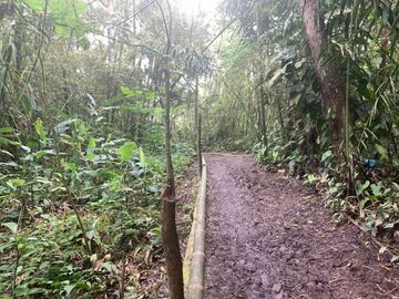 reserva natural de venta en manta bosque Pacoche