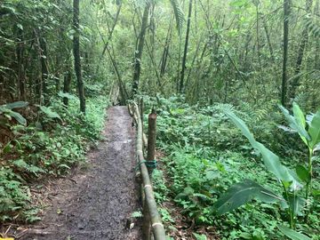 reserva natural de venta en manta bosque Pacoche