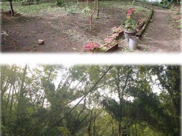 reserva natural de venta en manta bosque Pacoche