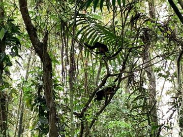 reserva natural de venta en manta bosque Pacoche