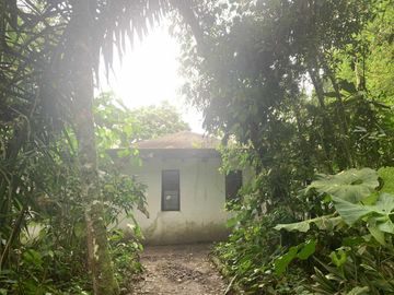 reserva natural de venta en manta bosque Pacoche