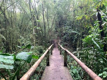 reserva natural de venta en manta bosque Pacoche