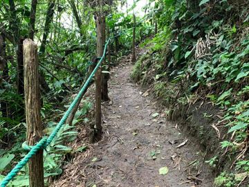 reserva natural de venta en manta bosque Pacoche