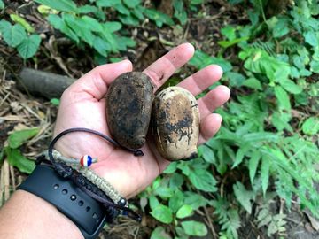 reserva natural de venta en manta bosque Pacoche