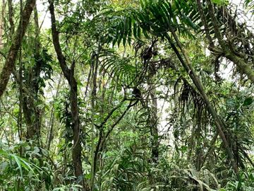 reserva natural de venta en manta bosque Pacoche