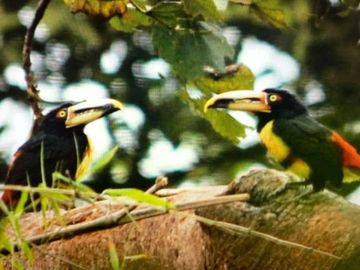 reserva natural de venta en manta bosque Pacoche