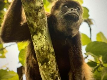 reserva natural de venta en manta bosque Pacoche