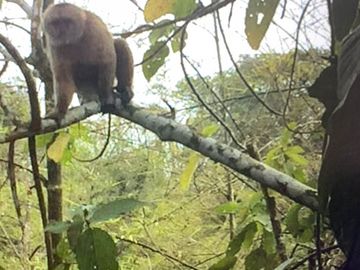 reserva natural de venta en manta bosque Pacoche