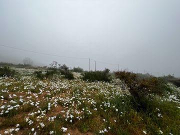 Venta Terreno 5.590 M2 En La Reserva Oasis De La Campana