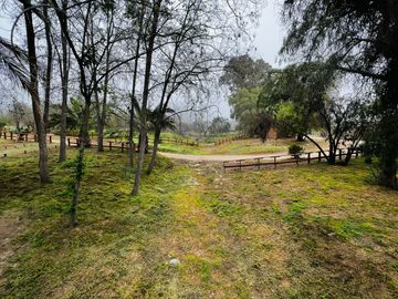 Venta Terreno 5.590 M2 En La Reserva Oasis De La Campana