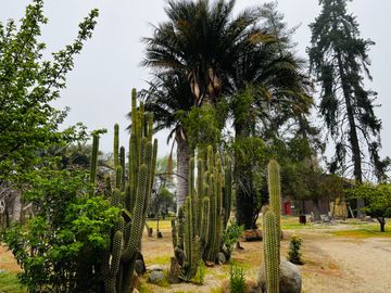 Venta Terreno 5.590 M2 En La Reserva Oasis De La Campana