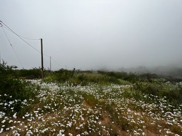 Venta Terreno 5.590 M2 En La Reserva Oasis De La Campana