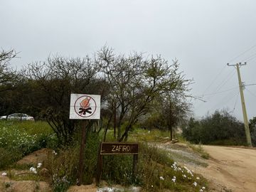 Venta Terreno 5.590 M2 En La Reserva Oasis De La Campana