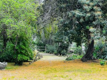 Venta Terreno 5.590 M2 En La Reserva Oasis De La Campana