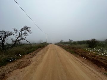 Venta Terreno 5.590 M2 En La Reserva Oasis De La Campana