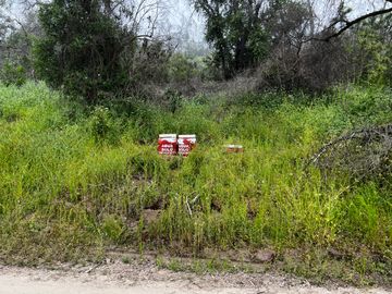 Venta Terreno 5.590 M2 En La Reserva Oasis De La Campana