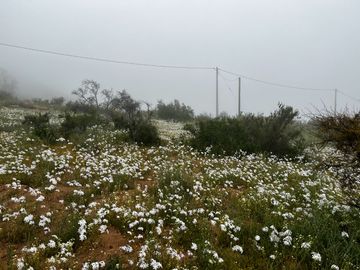 Venta Terreno 5.590 M2 En La Reserva Oasis De La Campana