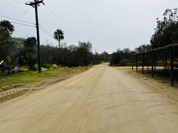 Venta Terreno 5.590 M2 En La Reserva Oasis De La Campana