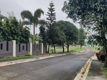 FOR SALE TAGAYTAY HOUSE AND LOT WITH SWIMMING POOL