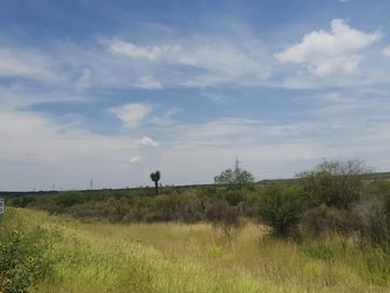 Terreno rústico sobre Carretera Dr. González - Miguel Alemán