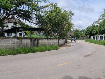 ที่ดินติดพืชสวนโลก วิวเขา ต.แม่เหี๊ยะ เชียงใหม่