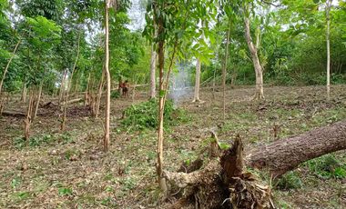 RONDA LOT ALONG THE HI WAY WITH AN AREA OF 2,157 SQM.