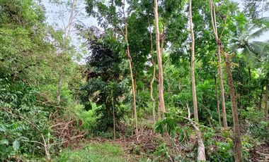 RONDA LOT ALONG THE HI WAY WITH AN AREA OF 2,157 SQM.