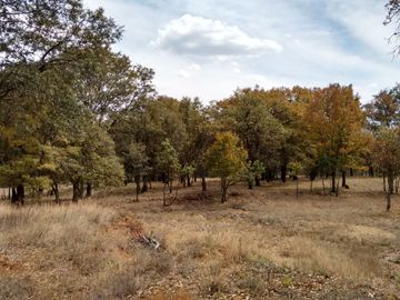 TERRENO EN VENTA EN ESTADO DE MÉXICO CHAPA DE MOTA