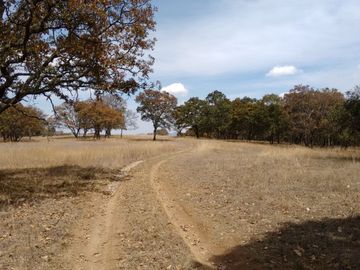 TERRENO EN VENTA EN ESTADO DE MÉXICO CHAPA DE MOTA