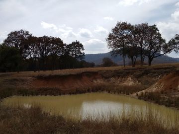 TERRENO EN VENTA EN ESTADO DE MÉXICO CHAPA DE MOTA