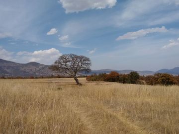 TERRENO EN VENTA EN ESTADO DE MÉXICO CHAPA DE MOTA