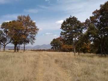 TERRENO EN VENTA EN ESTADO DE MÉXICO CHAPA DE MOTA