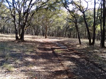 TERRENO EN VENTA EN ESTADO DE MÉXICO CHAPA DE MOTA