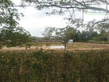 VENDEMOS FINCA DE 23 HECTAREAS TOTALMENTE PLANAS SOBRE LA VÍA PANAMERICANA MELGAR - GIRARDOT.