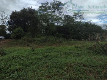 VENDEMOS FINCA DE 23 HECTAREAS TOTALMENTE PLANAS SOBRE LA VÍA PANAMERICANA MELGAR - GIRARDOT.