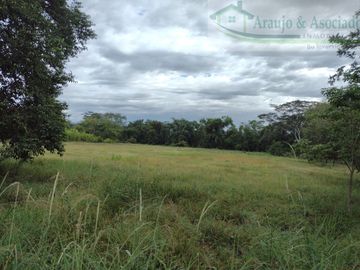 VENDEMOS FINCA DE 23 HECTAREAS TOTALMENTE PLANAS SOBRE LA VÍA PANAMERICANA MELGAR - GIRARDOT.