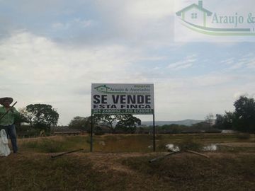 VENDEMOS FINCA DE 23 HECTAREAS TOTALMENTE PLANAS SOBRE LA VÍA PANAMERICANA MELGAR - GIRARDOT.
