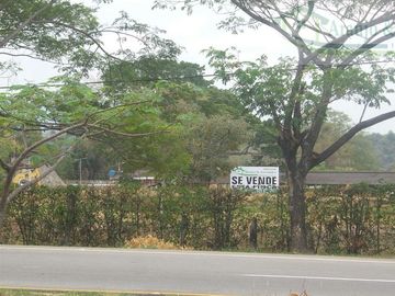 VENDEMOS FINCA DE 23 HECTAREAS TOTALMENTE PLANAS SOBRE LA VÍA PANAMERICANA MELGAR - GIRARDOT.