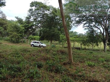 VENDEMOS FINCA DE 23 HECTAREAS TOTALMENTE PLANAS SOBRE LA VÍA PANAMERICANA MELGAR - GIRARDOT.