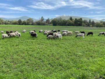 Hacienda en venta en Texcoco