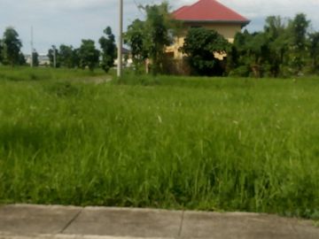 Lot for Sale - Carmel Ridge Calamba Laguna