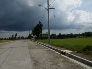 Lot for Sale - Carmel Ridge Calamba Laguna