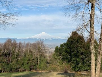 VILLARRICA HERMOSA PARCELA 5000 M2 , SECTOR COLGA
