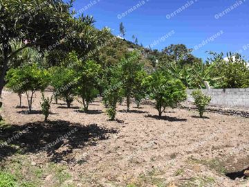 EN VENT casa 2D  en  terreno de 900m2 IBARRA Imbaya 82.000$