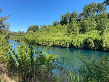 PARCELA CON ORILLA DE RIO, RIO BUENO