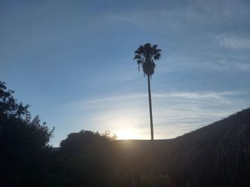 Venta Quinta con 2 Casas de descanso, Fraccionamiento Colonos, Ticumán, Morelos