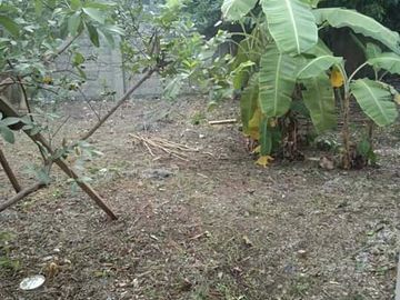 For Sale Lot in Catarman, Cordova Cebu